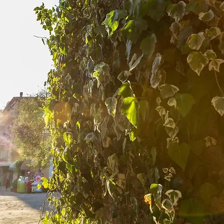 Vacanze Lägenhetshotell